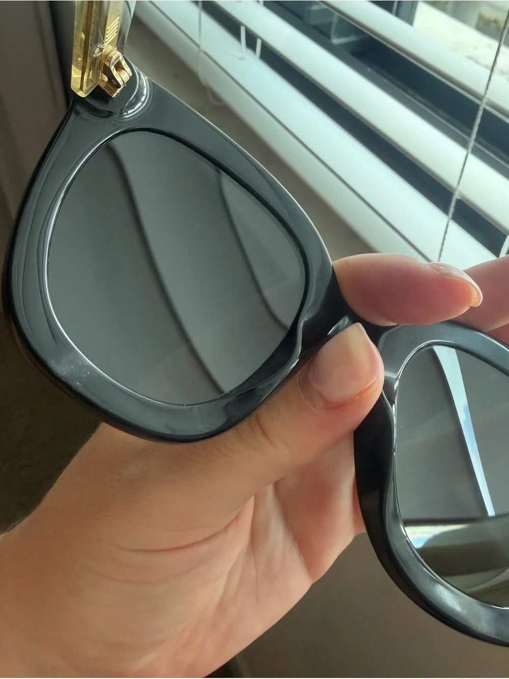 Women’s Gucci Oversized Cat-Eye Sunglasses Black Clear Arms